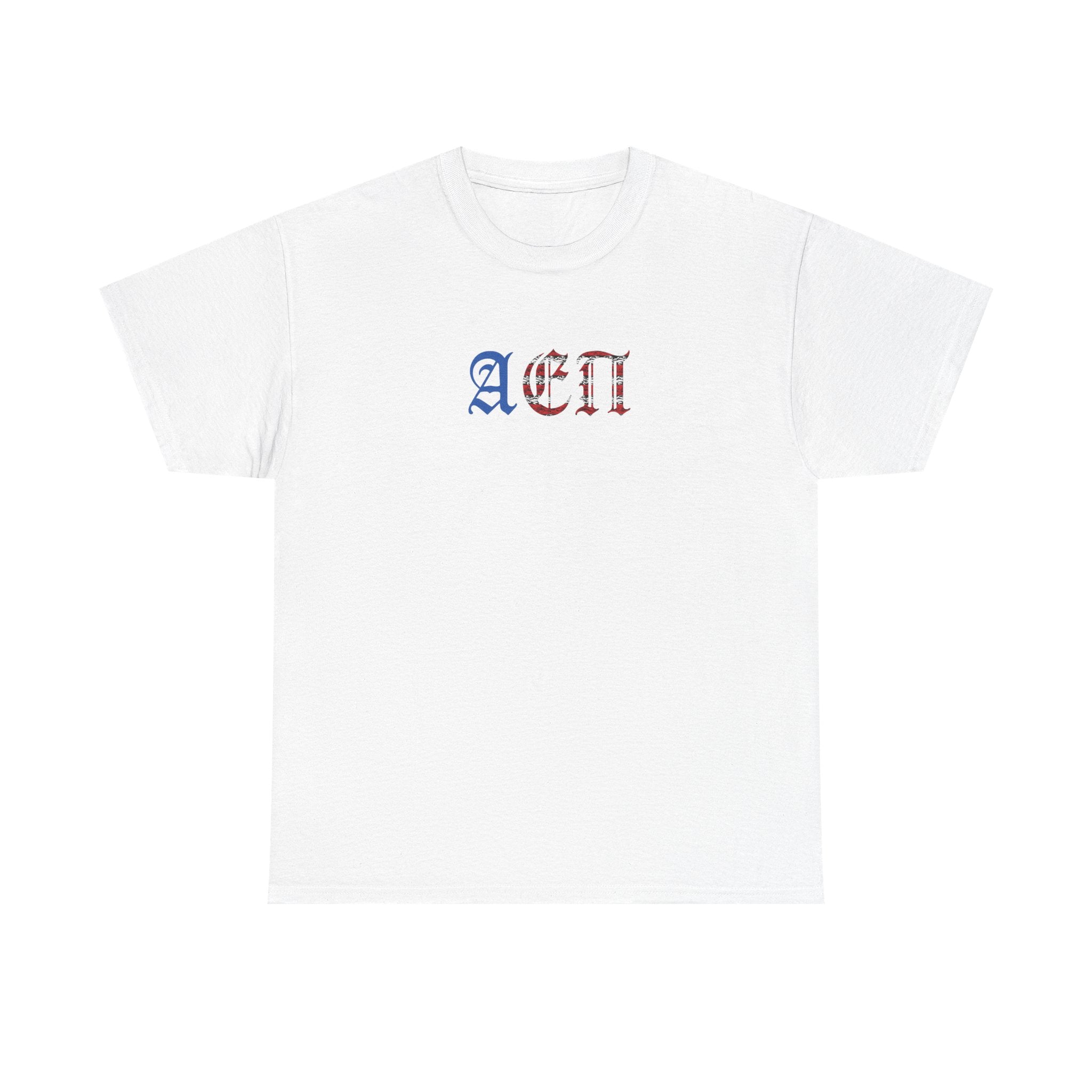 LION FLAG T-SHIRT