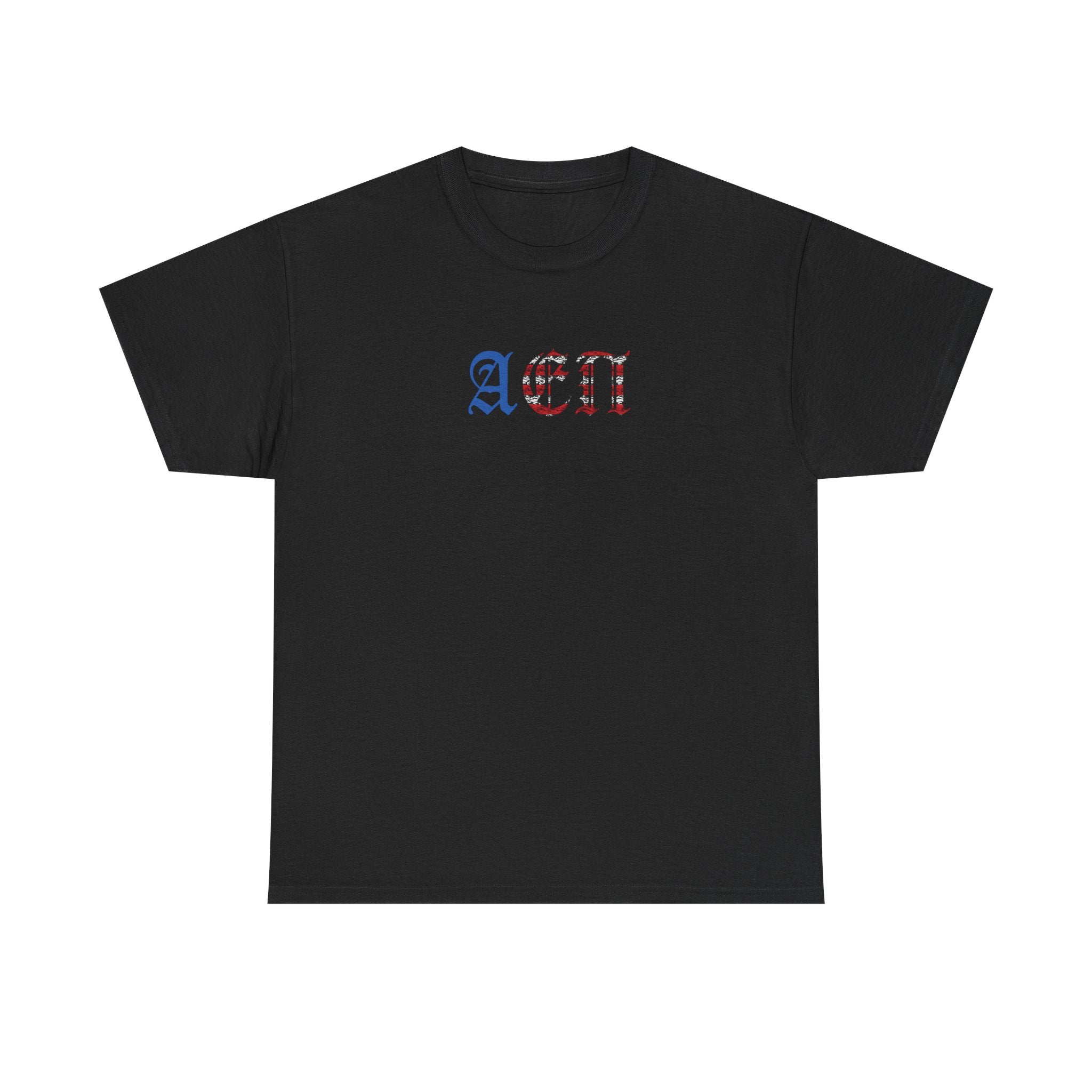 LION FLAG T-SHIRT